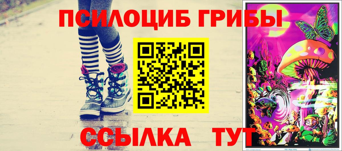 Чайковский  Псилоцибиновые грибы Psilocybine cubensis  Вход с VPN 