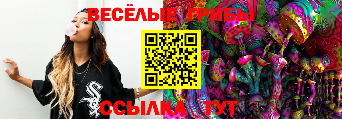Галлюциногенные грибы MAGIC MUSHROOMS Чайковский